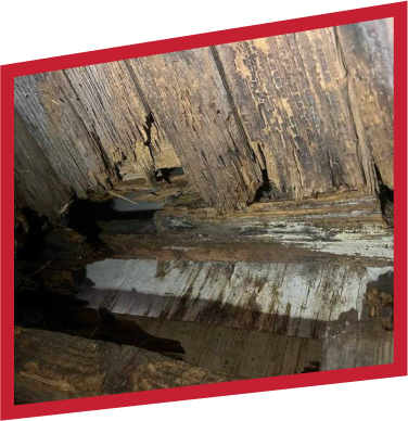 Pier & Beam Foundation Repair